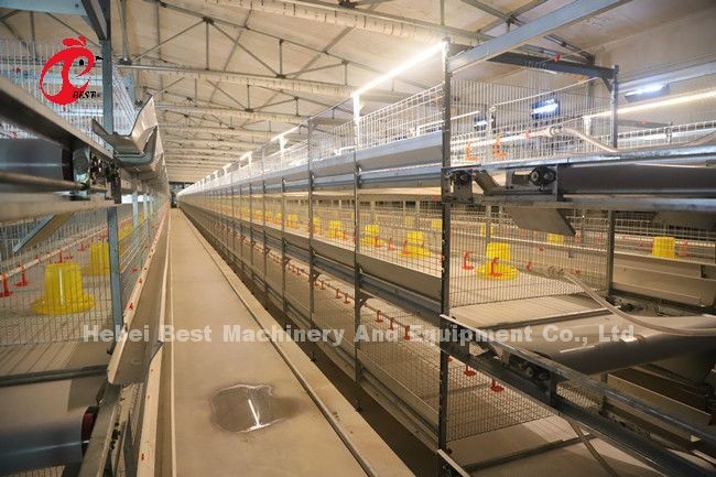 45 Days A H Type Broiler Cage 25 Years Lifespan With Drinkers And Feeders Star