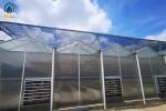 High Yield Farming Polycarbonate Greenhouse Fruit And Vegetable Greenhouse