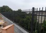 High 1530mm Decorative Wrought Iron Fence Panels For Garden