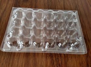 China egg trays clear quail egg trays with 24 holes 4*6 holes PVC / PET / APET... quail egg container wholesale