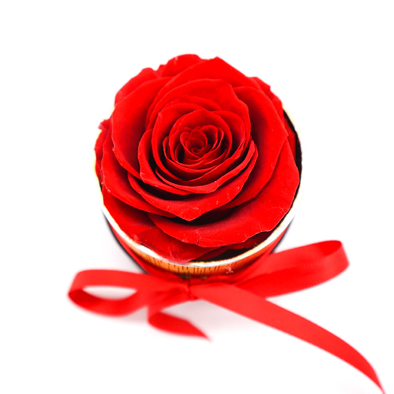 Forever Eternal Preserved Rose Gift Box For Celebration / Wedding