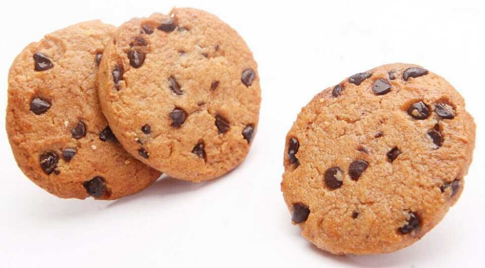 400 Automatic Small Cookie Machine / 16 Trays Rotary Moulder Cookie Machine
