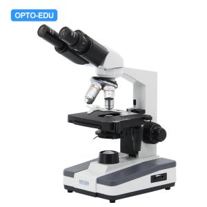 China Halogen Light Student 1000x WF10X Biological Compound Microscope wholesale
