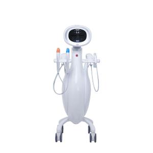 China Anti Wrinkle 300W HIFU Machine Skin Rejuvenation 2MHZ 4MHZ 5.5MHZ 12D wholesale
