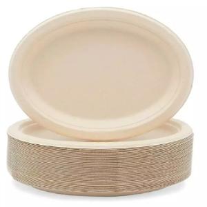 China 230mm Biodegradable Compostable Sugarcane Plates Bagasse White Oval Plates wholesale