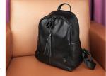 Casual Style High Capacity Womens Backpack Bags Laptop Carrying For Girl