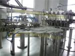 Compact Structured Bottling Line Equipment , Carbonated Soft Drink Filling