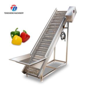 China Commercial Electric Vegetable Elevator Machine Food Processor wholesale