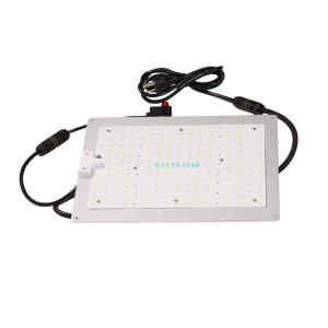 China 2.7gumol/S/W 288 Quantum Board wholesale