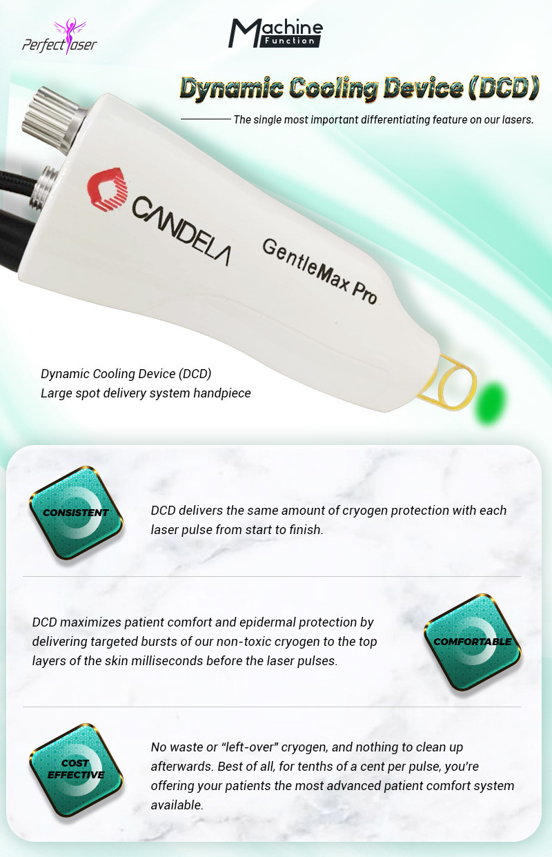 2 In 1 Alexandrite Lazer Hair Removal Machine Nd Yag Pigment Removal Machine