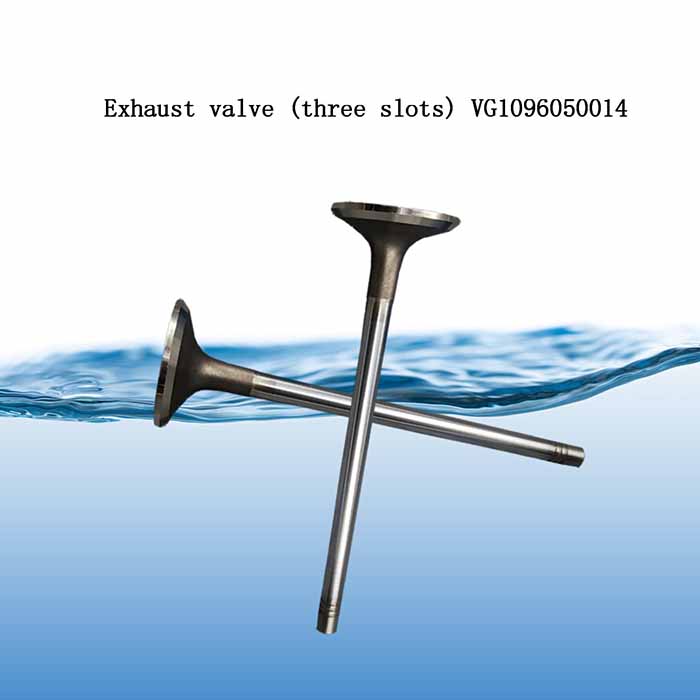 2005- Year Truck Parts for Shacman Sinotruck HOWO FAW Foton Dongfeng Cunmmins Weichai Deuzt Engine Spare Parts Exhaust Valve