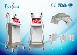 China 15 inch big screen cryolipolysis slimming machine in best price wholesale
