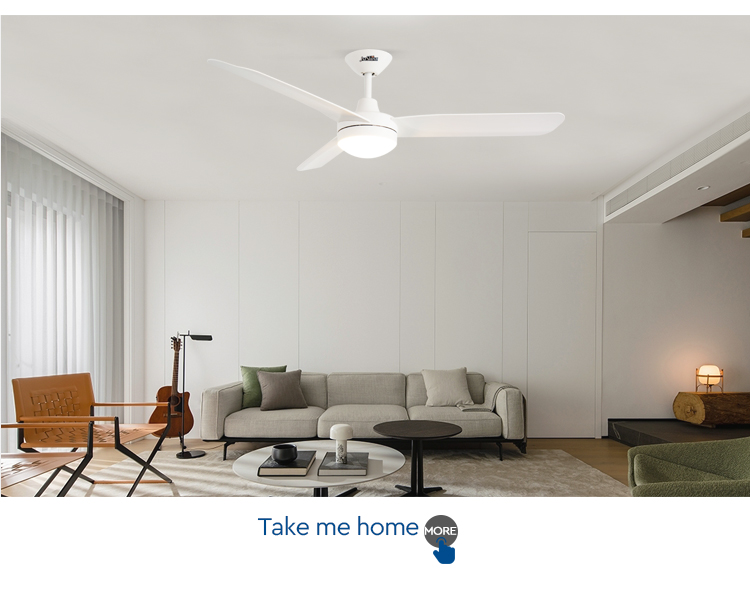 ceiling fan