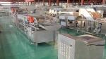 Commercial Nut roasting machine / nut roaster / grain roaster machine Customizab