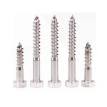 DIN571 Self Tapping Screw ANSI ASME Stainless Steel Hexagon Head