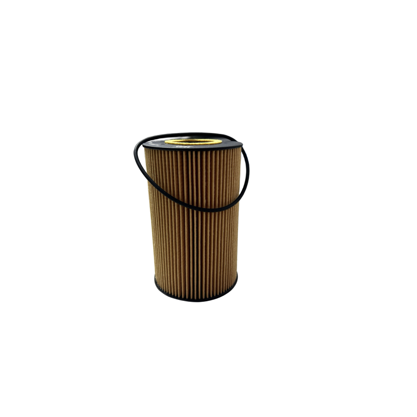 Diesel Engine Oil Fuel Filter Water Separator Filter for CNTHC HOWO WL10253