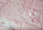 Pink Washable Self Adhesive Brick Wallpaper Environmental Dustproof