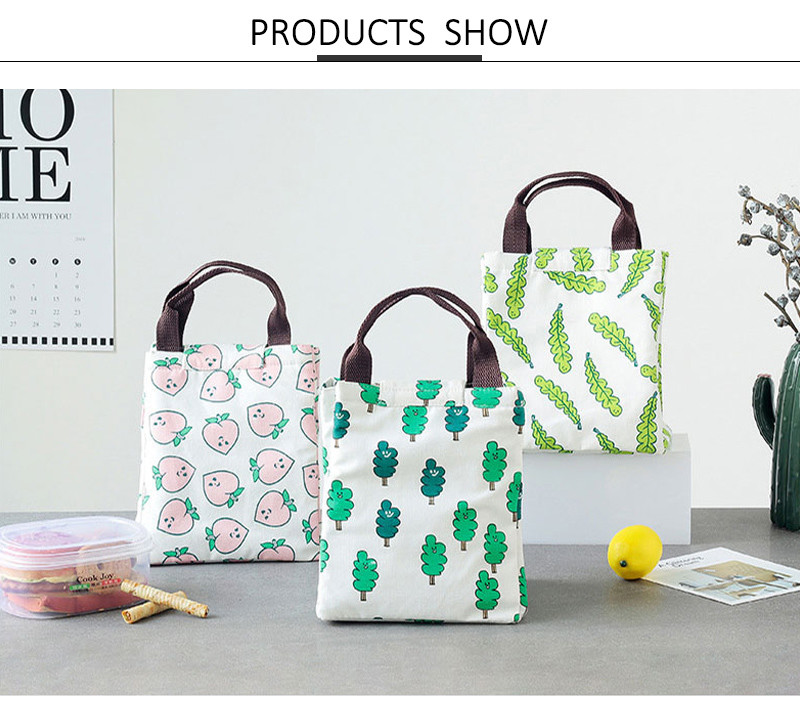 L19*D17cm Silk Printing Insulated Lunch Cooler Bags
