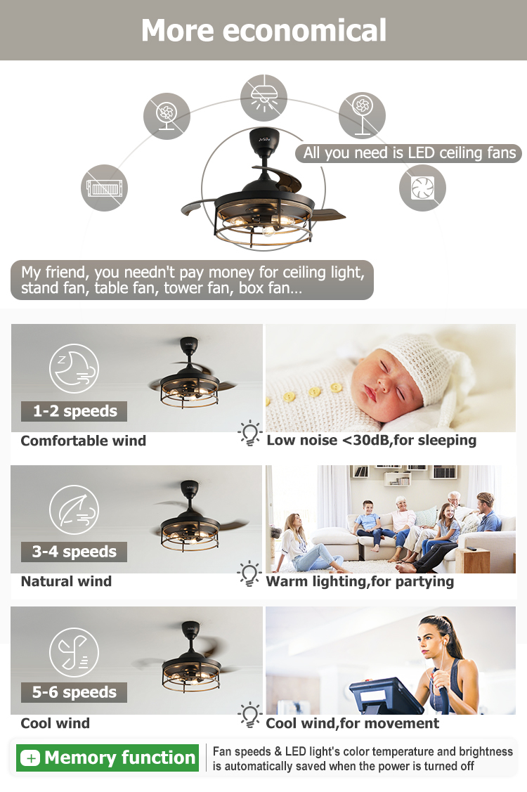 1stshine Black Traditional PC Hidden Blades Ceiling Fan with Remote 2- Lighting Solutions