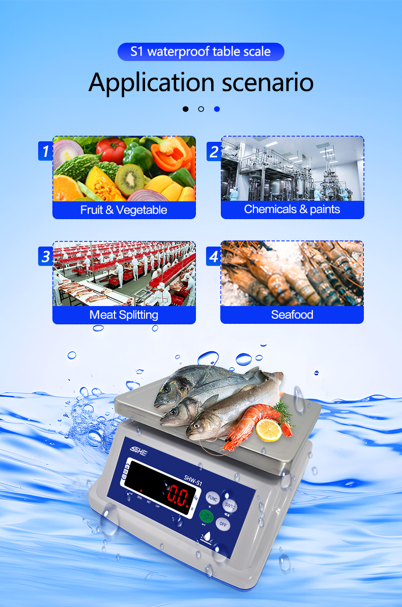 8V/1A Power Supply Waterproof Scale with Dual Screen Display and Precision Sensor