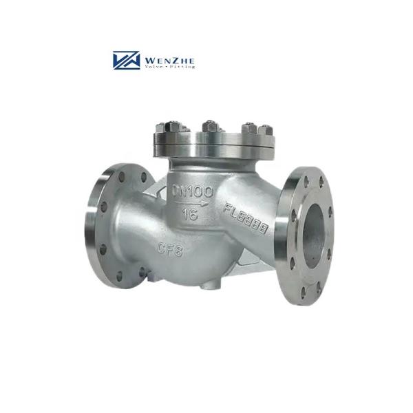 Flanged Lift Check Valve Silver Stainless Steel 304 316 316L PN16 PN25 PN40 PN64