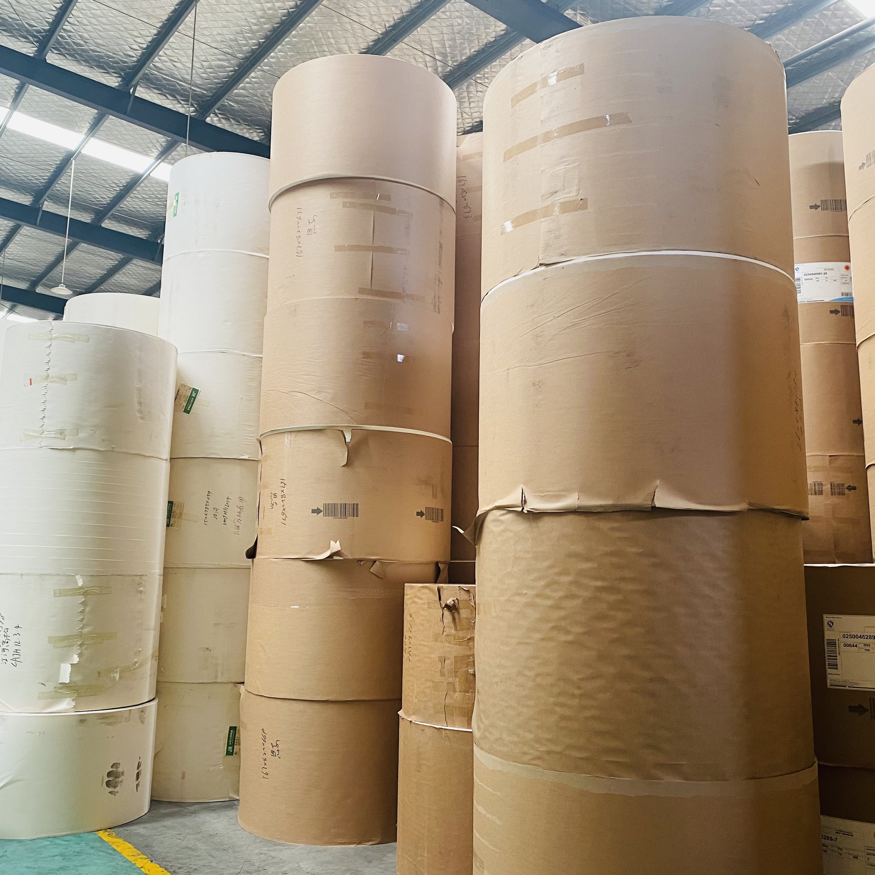 White Kraft PE Coated Paper Roll 135gsm For Bowl Semi Finished