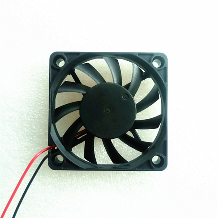 P80810-153649_.jpg