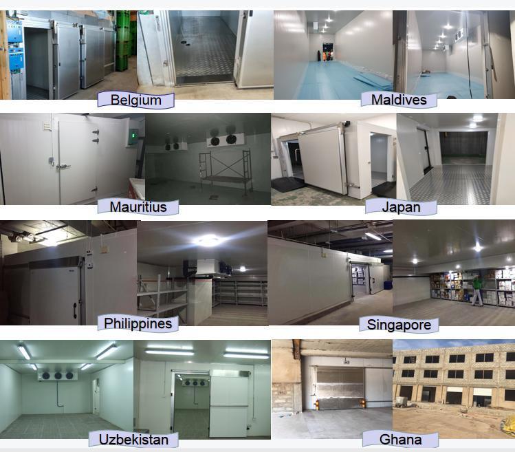 Cold Storage Refrigeration Sale Cooling Room Cold Storage Freezer Equipment