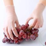 Kitchen Household Clean Food Inspection Pvc Gloves Disposable