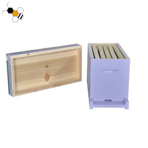 China Bee Hive Equipment Painted 20mm Raising Queens Langstroth Nuc Box wholesale