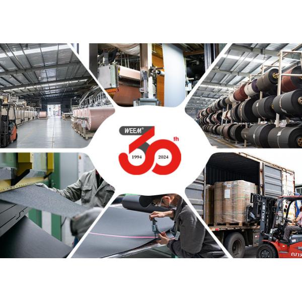 Silicon Carbide Sharpness Abrasive Cloth Y Weight Cloth Backing Coated Silicon Carbide Abrasive Sand Belt