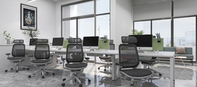 Neoseat X Office Ergonomic Mesh Chair 4D Arms Mesh Adjustable Minimalist Swivel