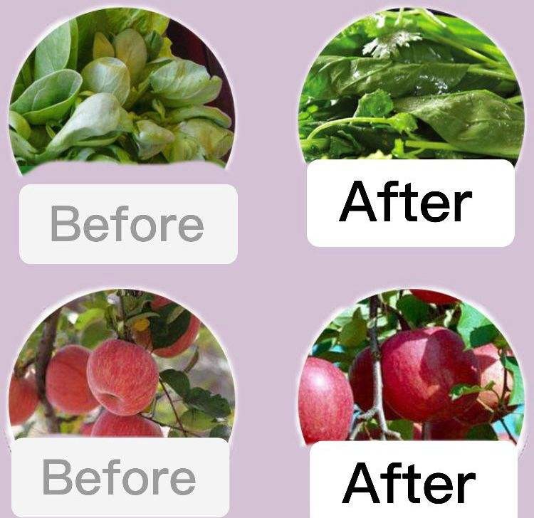 Organic Soil Conditioner Fertilizer For Plants And Crops