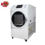 vacuum freeze dryer /freeze dryer price /freeze dryer machine food