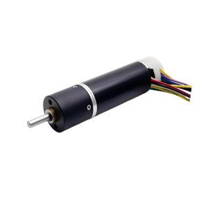 China 16mm DC Planetary Gear motor 6V to 24V High Torque Low speed 600mNm 6.7RPM to 5687RPM Customizable Mini DC Motor wholesale