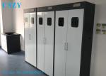 900X450X1800mm All Steel Lab Gas Cylinder Storage Cabinet for 2 Bottles