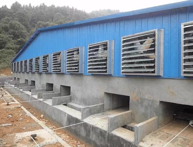Cattle Pig Dairy Barn Ventilation Fans Exhaust Cooling Fan OEM ODM