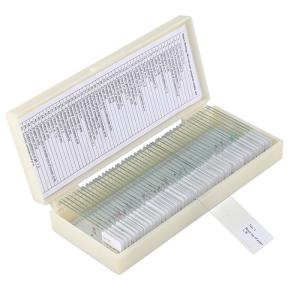 China Small 50pcs School Education 22x22mm Label Microbiology Prepared Slides wholesale