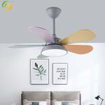 Modern Simple Nordic Eye Protection Colorful Leaf Children's Room Fan Light 30