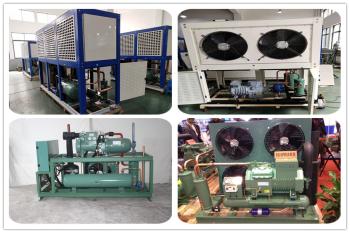 Shenzhen Ruifujie Technology Co., Ltd.