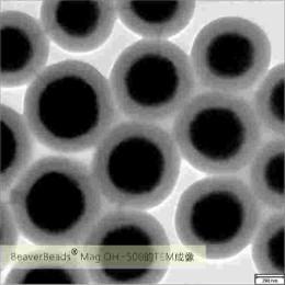 China Viral RNA Extraction Silica Magnetic Beads 500nm 10 mg / mL 50 mL wholesale