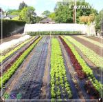 PP Woven 4mm Plastic Landscape Fabric HDPE Anti Weed Gardening Mat