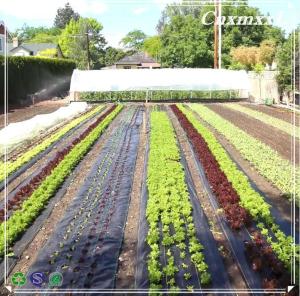 China PP Woven 4mm Plastic Landscape Fabric HDPE Anti Weed Gardening Mat wholesale