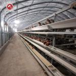 3 Tiers Layer Chicken Cage 120 Capacity A Type For Poultry Farm