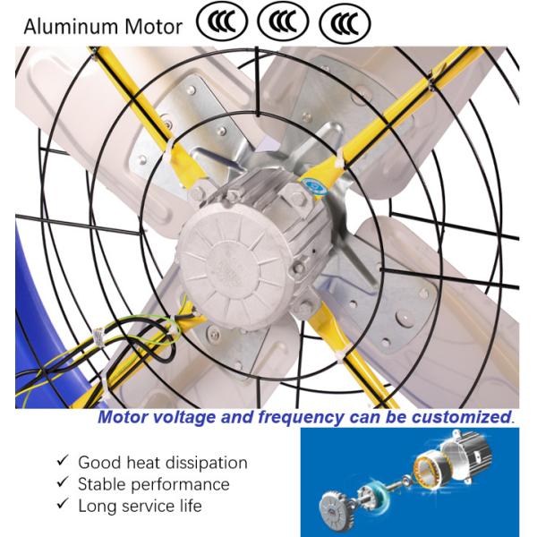 Industrial Fan Manufacturers EC Motor 38" Cooling Fan for Livestock Factory Terrui