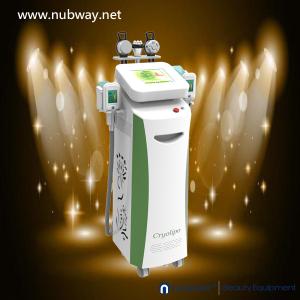 China cavitation rf cryolipolysis slimming wholesale