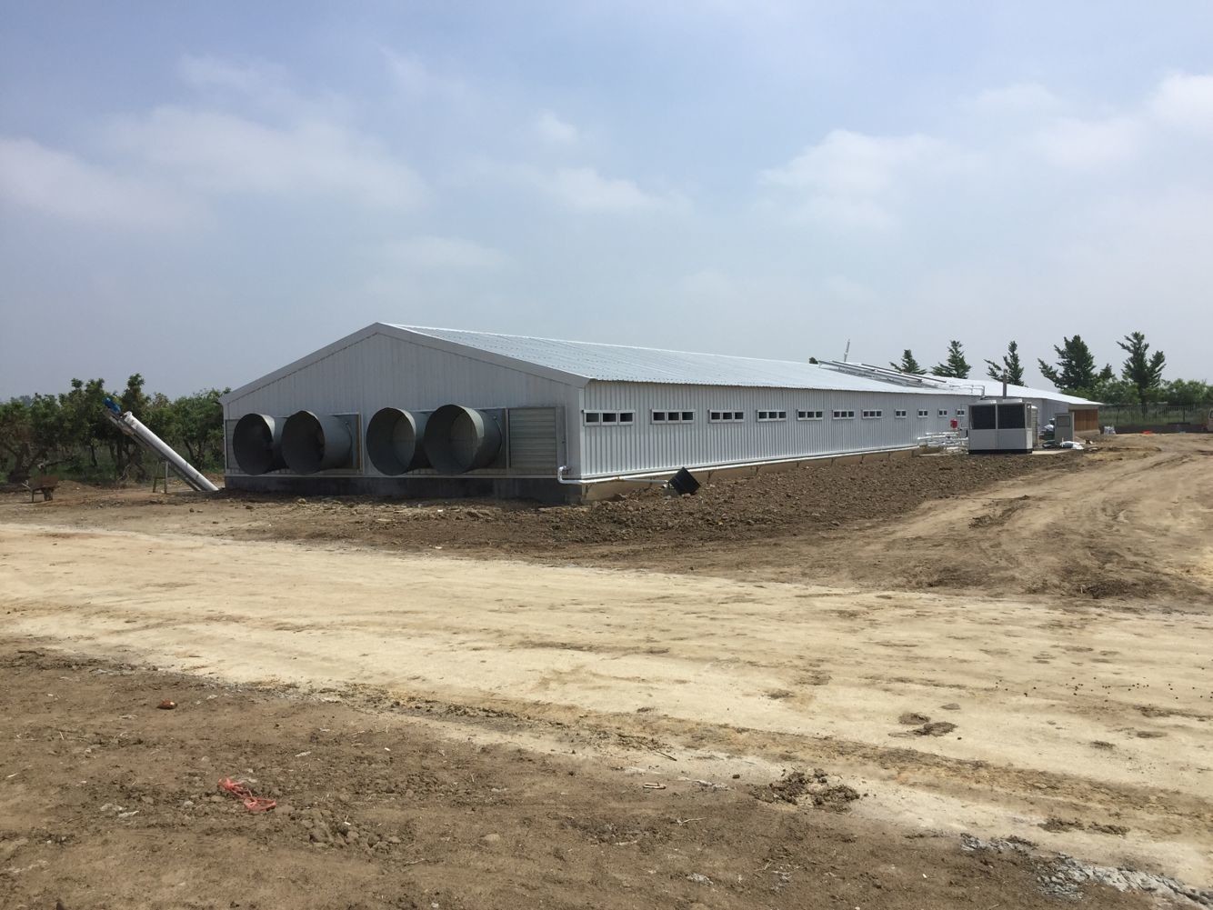 Professional Design Chicken Farm Equipment House Prefabricated Steel Buildings