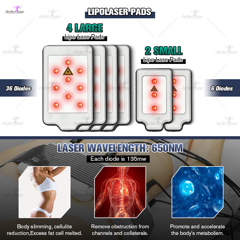 360 Cryolipolysis Slimming Machine Coolsculpting Weight Loss Body Contouring