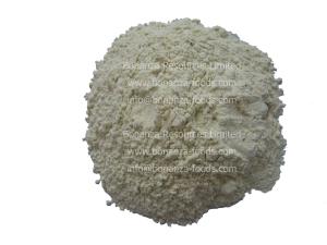 China Dehydrated White Onion Powder wholesale