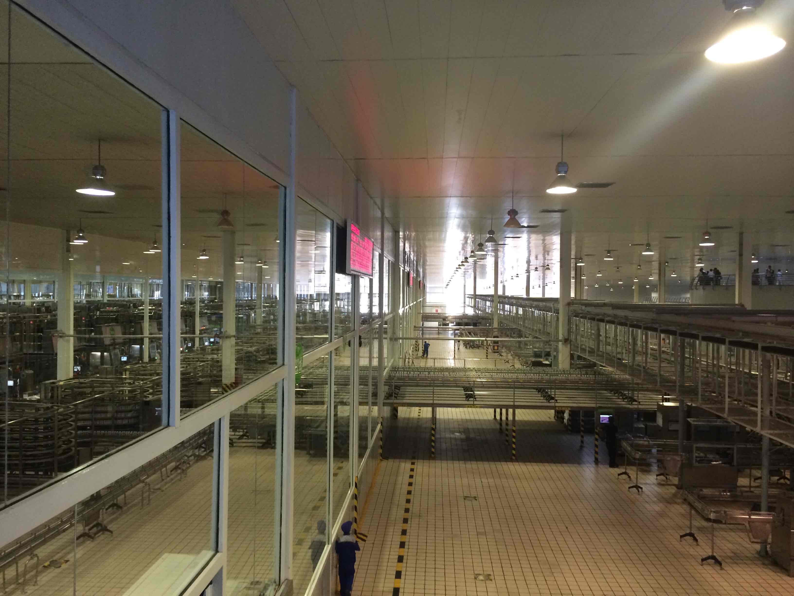 25m Max High Bay Light Lifter